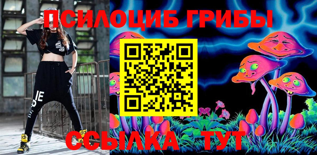 Псилоцибиновые грибы Cubensis Димитровград